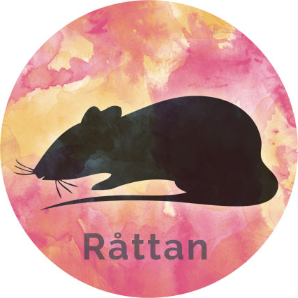 Råttan