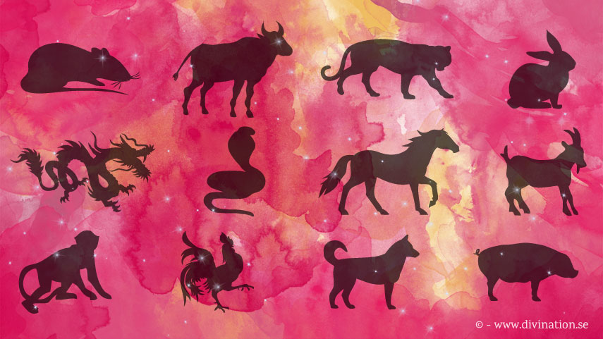 kinesiskt horoskop djurtecken